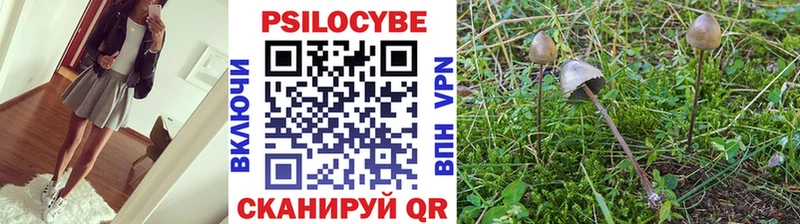hydra   Темрюк  Галлюциногенные грибы прущие грибы  купить наркотик 